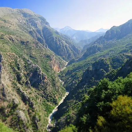 Faraggi